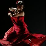 Flamenco Kulturnacht Schleswig-Holstein-Haus