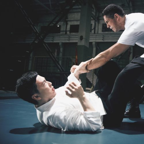 ip man 4 final fight game ip man 4 final fight game