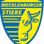 Handball: Mecklenburger Stier II vs. TSG Wismar