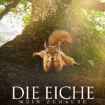 Kino unterm Dach: Die Eiche - Mein Zuhause