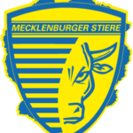 Handball: Mecklenburger Stiere Schwerin vs. SV Fort. 50 Neubrandenburg